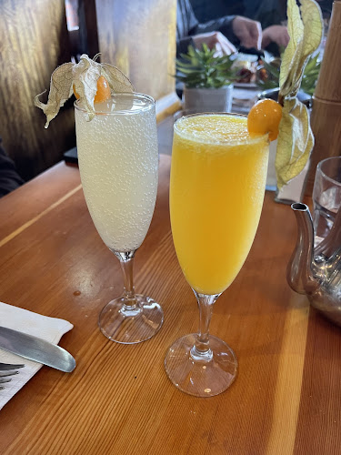 Blue Fox Cafe - Hospitality and gastronomy