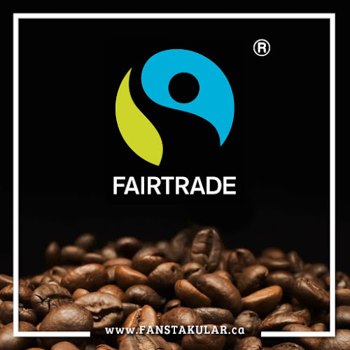 Opinii despre Fanstakular Health Inc. în Barrie - Hospitality and gastronomy