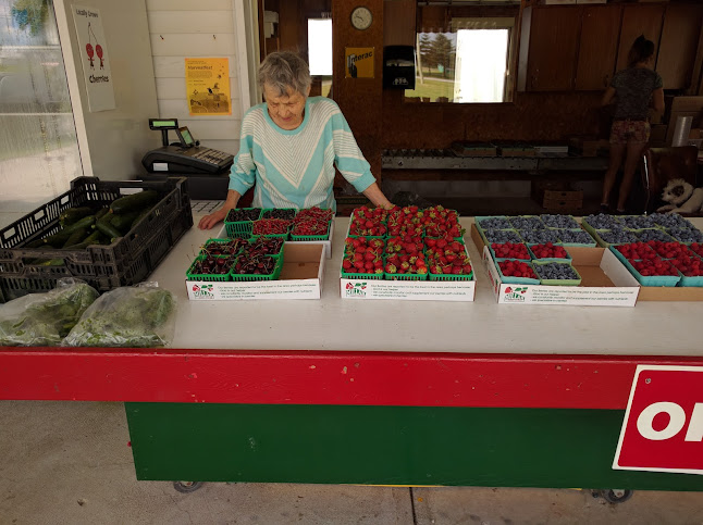 7375 Longwoods Rd, London, ON N6P 1L2