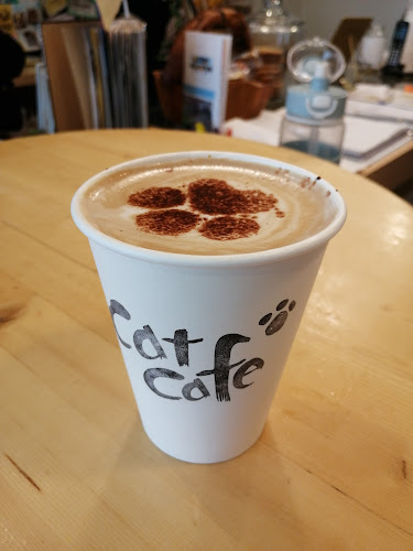 Cat Cafe on Whyte - Edmonton