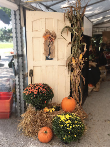 5529 Greenlane, Beamsville, ON L3J 1M9