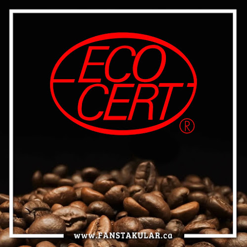 Fanstakular Health Inc. - Hospitality and gastronomy