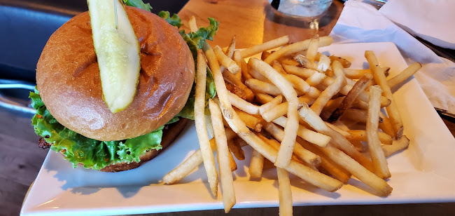 Comentarii opinii despre The Old Trapper