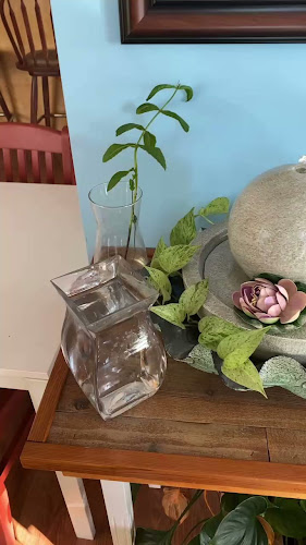 Lotus Cafe & Restaurant - Hospitality and gastronomy