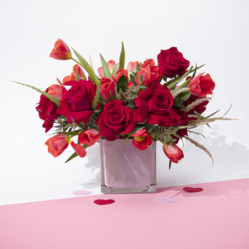 38 Karl Fraser Rd, North York, ON M3C 0H7