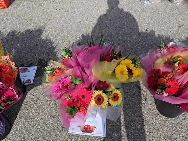 Niagara Falls Farmers Market - Niagara Falls