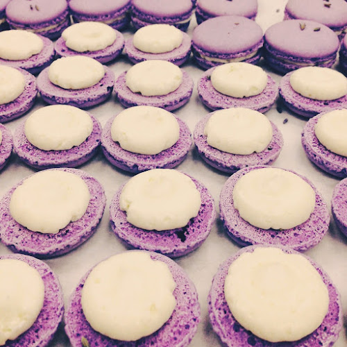 810C 16 Ave SW, Calgary, AB T2R 0S9