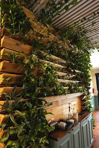 Pizzeria Du - Hospitality and gastronomy