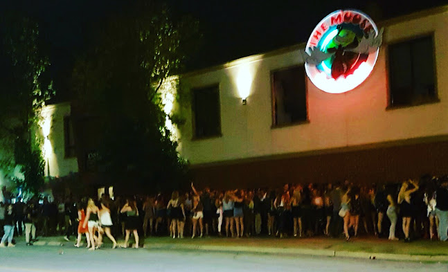 54 Paul De Divitiis Senior Way, Thorold, ON L2V 1X1