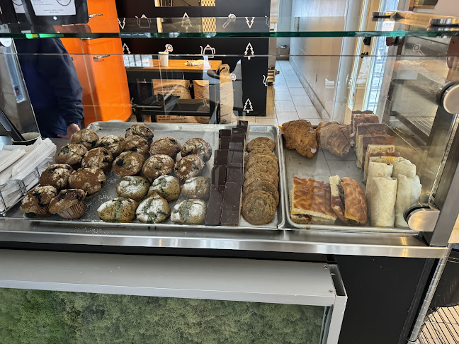 Morning Owl - Ottawa