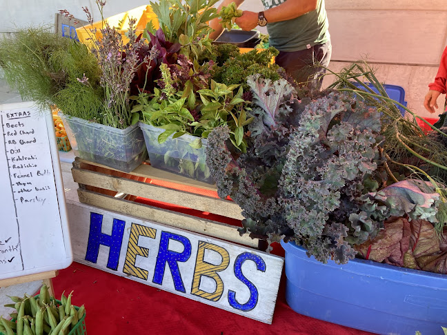 36 Mississaga St W, Orillia, ON L3V 5G2