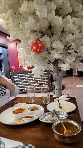 Comentarii opinii despre India King