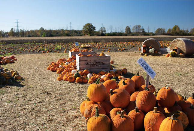 Comentarii opinii despre Howe's Farm Market & Country Bakery