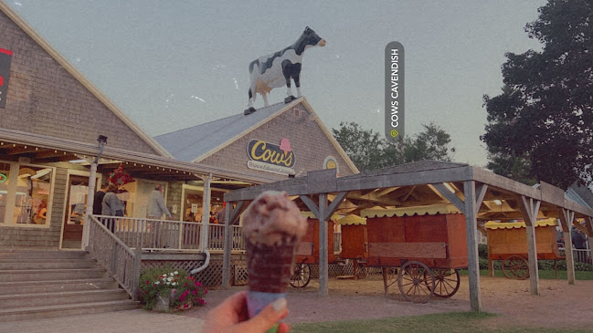 Opinii despre COWS Cavendish Boardwalk în Cavendish - Hospitality and gastronomy