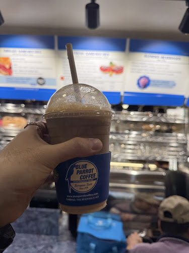 Blue Parrot - Vancouver