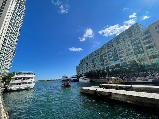 Comentarii opinii despre BeaverTails- Queues de Castor (Toronto Waterfront)