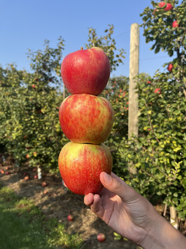 Opinii despre Josmar Acres în Hamilton - Hospitality and gastronomy