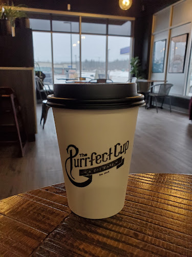 The Purrfect Cup - A Cat Cafe