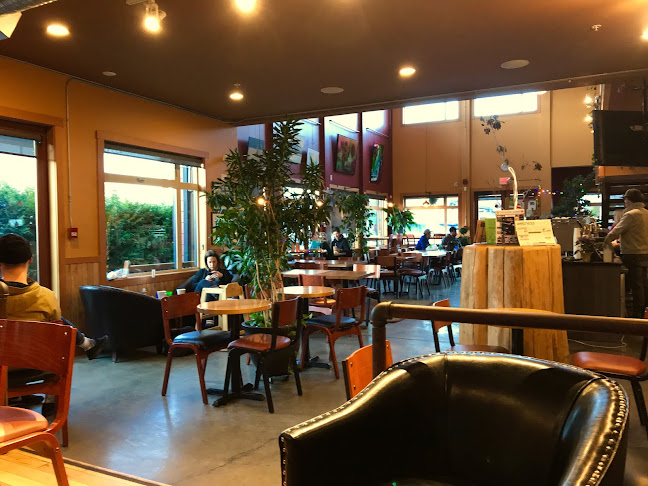 Buzz Coffee House - Hospitality and gastronomy