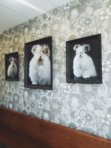 105 Brant Ave, Brantford, ON N3T 3H4