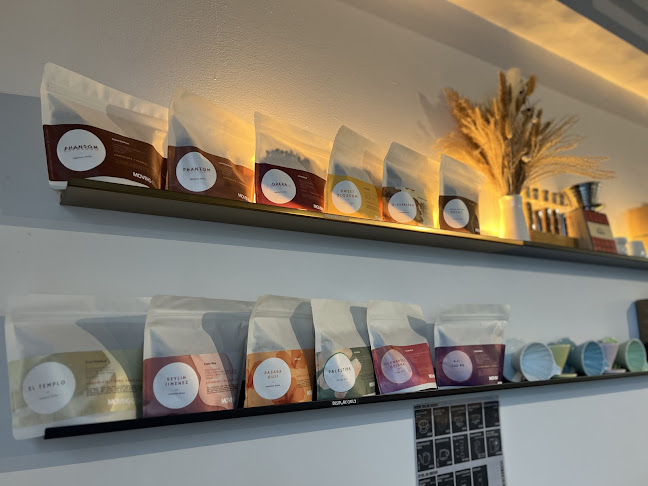 Moving Coffee Roastery - Hospitality and gastronomy