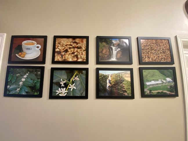 Carvalho Coffee Roasters - Oakville