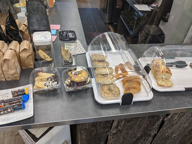 Petals Paws and Beans