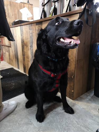 150 Roger St, Waterloo, ON N2J 1A9