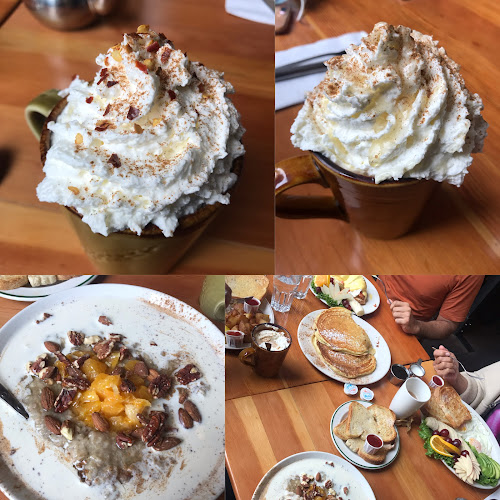 Opinii despre Blue Fox Cafe în Victoria - Hospitality and gastronomy