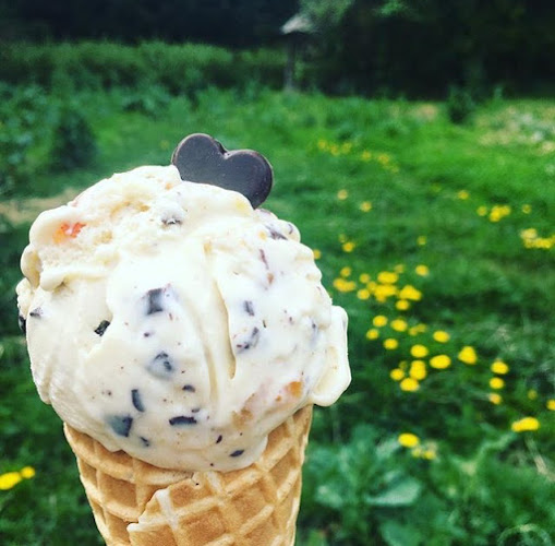 Opinii despre The Folly Artisan Food Shop în Roberts Creek - Hospitality and gastronomy