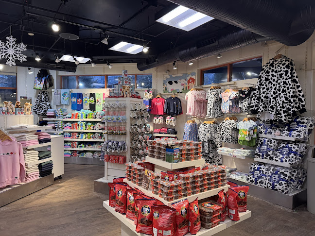 Comentarii opinii despre COWS Whistler