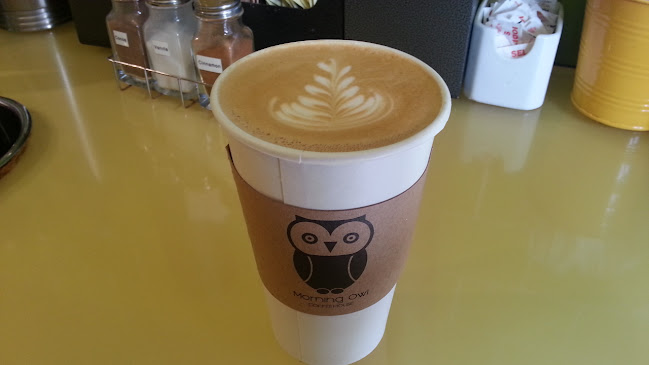 Morning Owl - Ottawa