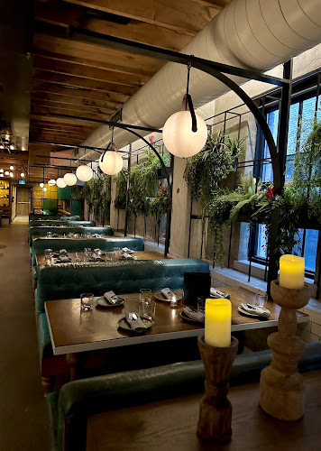 Comentarii opinii despre Baro