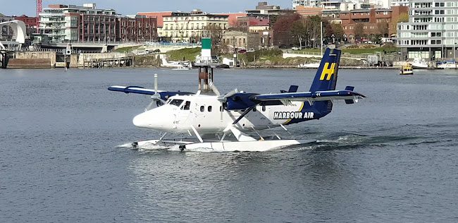 Comentarii opinii despre Blue Crab Seafood House