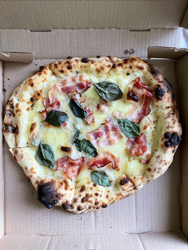 Comentarii opinii despre Bibo