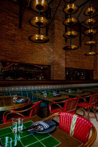 Comentarii opinii despre Dasha