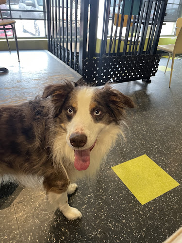 Munchies Coffee House & Barkery