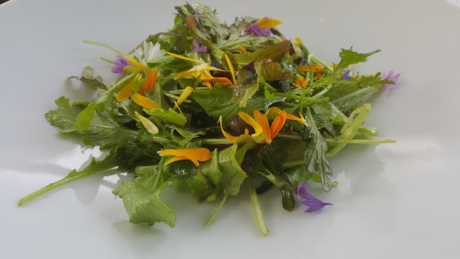 1240 8 Ave SE, Calgary, AB T2G 0M7