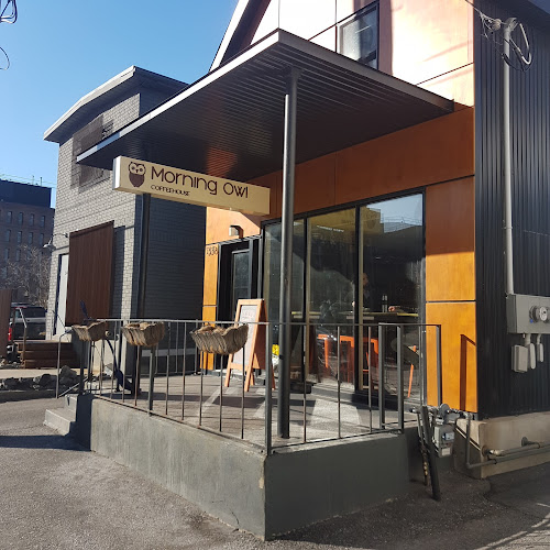 Morning Owl - Ottawa