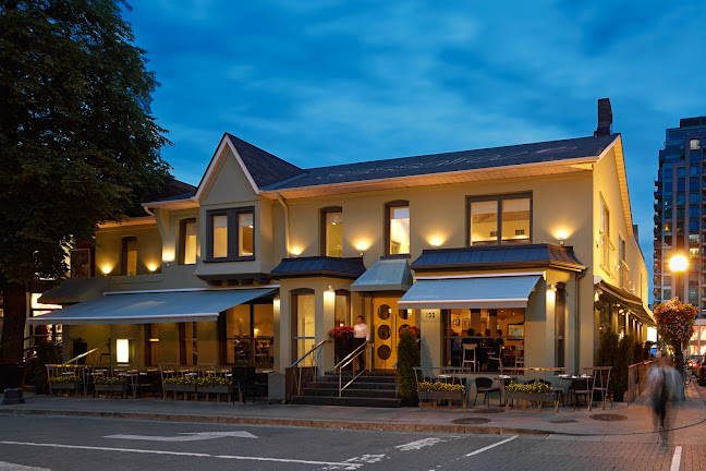 Comentarii opinii despre Sassafraz