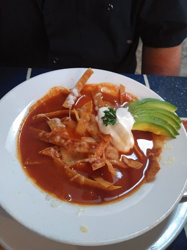 Vallarta Grill - Hospitality and gastronomy