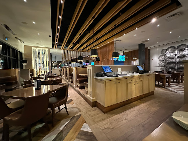 Turtle Jack's Lionhead - Brampton