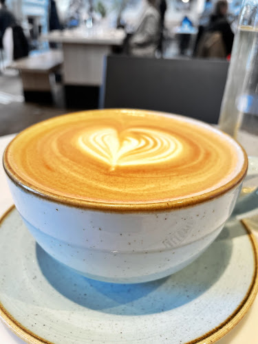 Alforno Bakery & Cafe - Hospitality and gastronomy