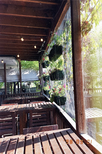 Chaise Café & Lounge - Hospitality and gastronomy