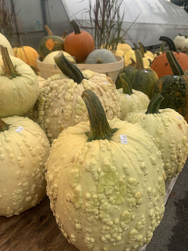 Josmar Acres - Hospitality and gastronomy