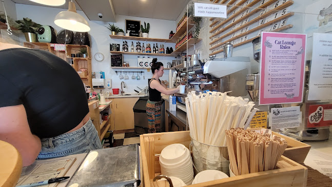 Cat Cafe on Whyte - Edmonton