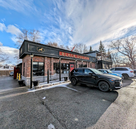 The Black Dog Pub - Hospitality and gastronomy