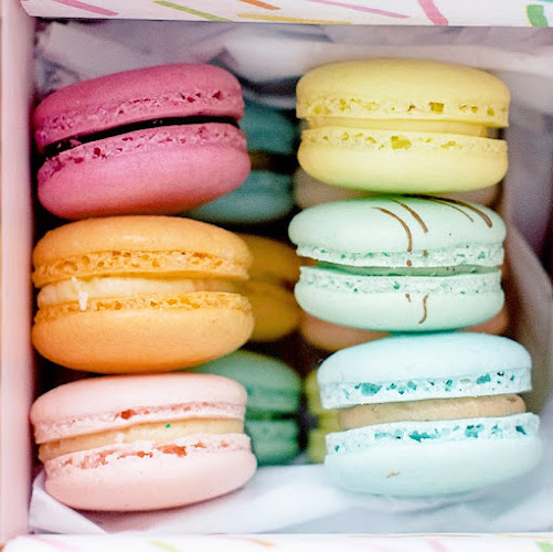 Comentarii opinii despre macaronZ