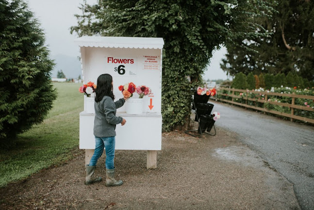 Moore Blooms Dahlias - Hospitality and gastronomy
