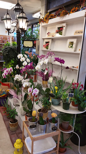 Maillardville Market 152 - Coquitlam